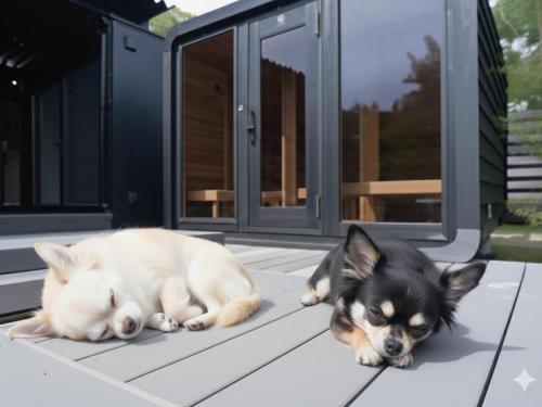 a dog and a cat laying on a patio at saunea白州 in Hokuto