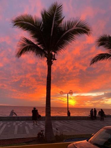 a palm tree on the beach with a sunset at Casa al Mare in Mazatlán