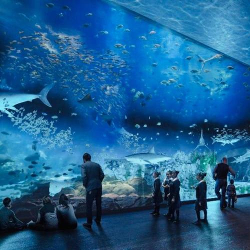 a group of people standing in front of a large aquarium at Casa al Mare in Mazatlán