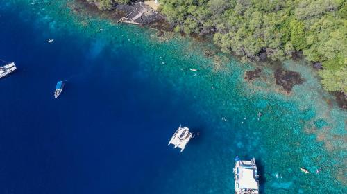 a group of boats in the water next to a island at Stylized Captain's House in Captain Cook