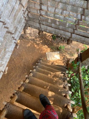 a person standing on a stairway next to a brick wall at Time Travellers Hostel in Auroville