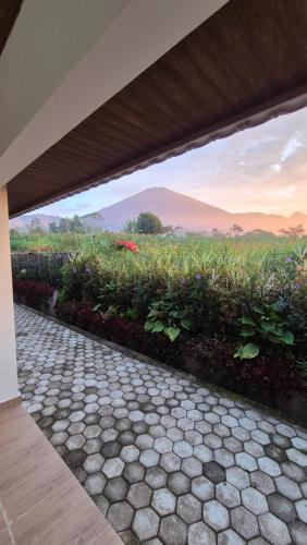 a patio with a view of a field of flowers at Asri Rinjani Hotel in Sembalun Lawang