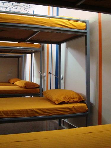 a room with three bunk beds in a room at Gypsy Monkey in Jaipur