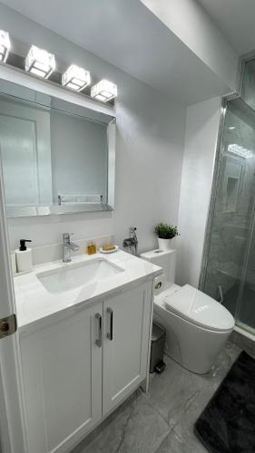 a bathroom with a sink and a toilet and a mirror at Brand new 2 bedroom basement apartment in Ajax
