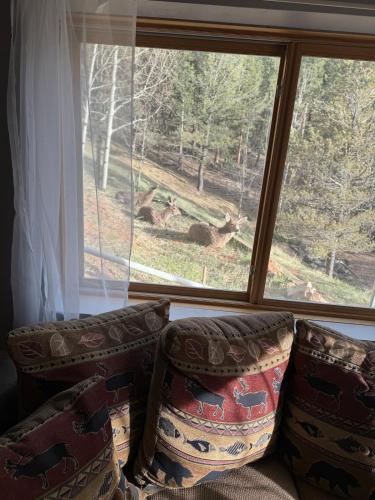 a window with a view of a deer outside at Beautiful Rocky Mountain Home with views on 1 acre in Divide