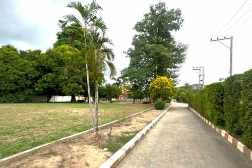 a road with palm trees on the side of a field at OYO 75583 Fut Fit Fo Fai Inn Hotel in Kanchanaburi