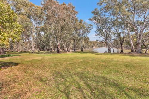 a field of grass with a river and trees at Riverfront Escape - Pool Fun and Space for Everyone in Moama