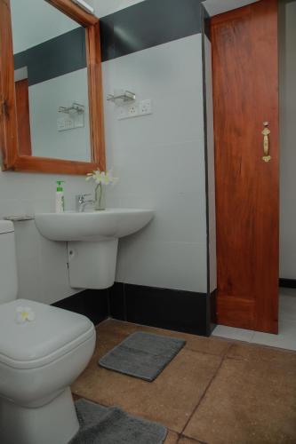 a bathroom with a toilet and a sink and a mirror at Villa Gaetano Unawatuna in Unawatuna