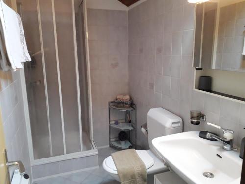 a bathroom with a shower and a toilet and a sink at Holiday Home IL VULCANO in Quartino