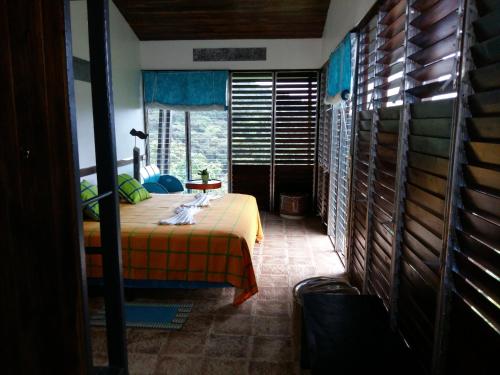 Gallery image of Celeste Mountain Lodge in Bijagua