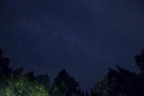 a starry night with trees in the foreground at Lodge Pinokio Backpackers in Nagano