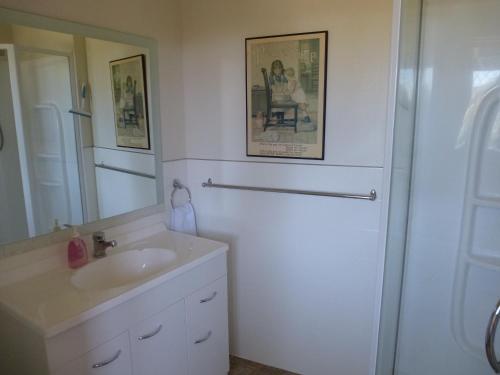 a bathroom with a sink and a mirror at Cottages On St Andrews in Havelock North