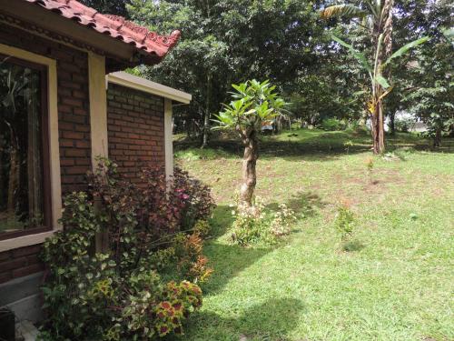 Сад в Tegal Jero Homestay