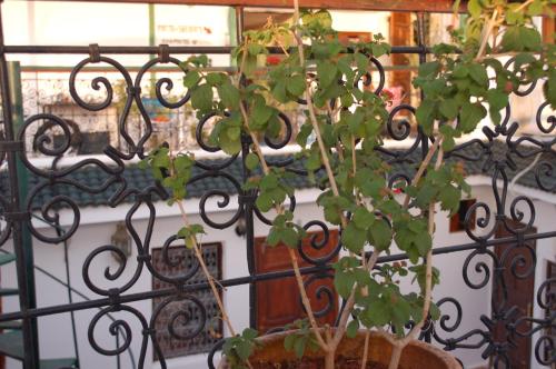 Κήπος έξω από το La Colombe Blanche