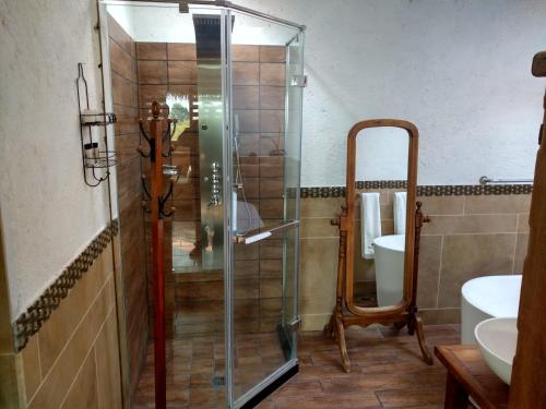 a glass shower in a bathroom with a sink at Casa d'Lobo Hotel Boutique in Malinalco