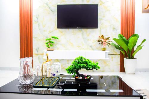a bonsai tree sitting on a stove in a kitchen at HeavenVilla in Can Tho