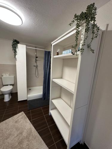 a bathroom with a white closet with a toilet at Landhof Schadehorn "Hofblick" in Bad Oldesloe