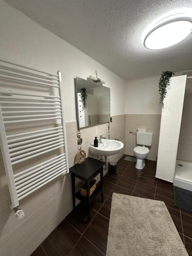 a bathroom with a sink and a toilet and a mirror at Landhof Schadehorn "Hofblick" in Bad Oldesloe