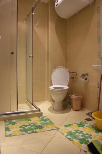 a bathroom with a shower with a toilet and a rug at PSB Apartments in Midia Resort Aheloy in Aheloy