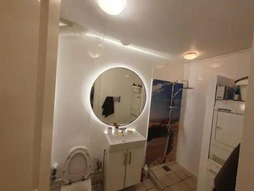 a bathroom with a sink and a mirror on the wall at Jagersborg alle nice Flat in Gentofte