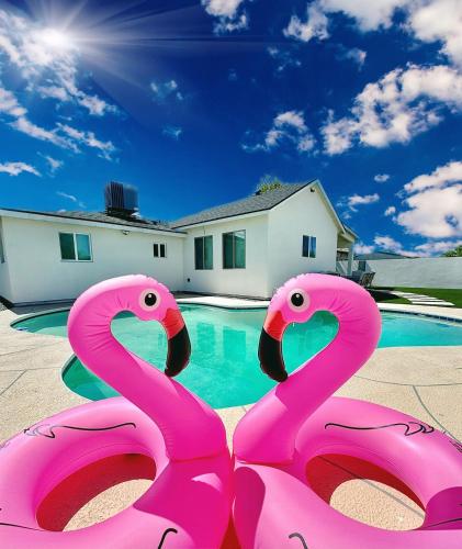 two pink flamingos in front of a swimming pool at NEW PHX Pool Home With Deep End and Central Location in Phoenix