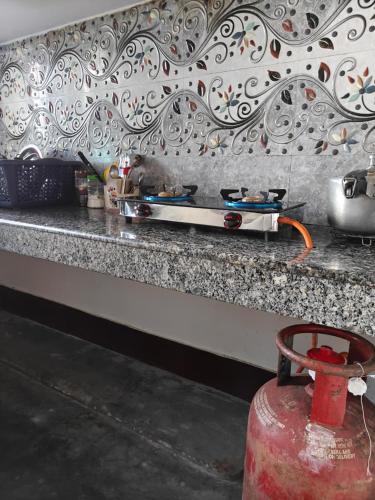a cat sitting on a skateboard on a counter at Upasana Homestay in Dibrugarh