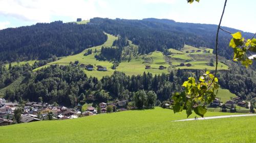 Gallery image of Bauernhof Burglehen in Wagrain