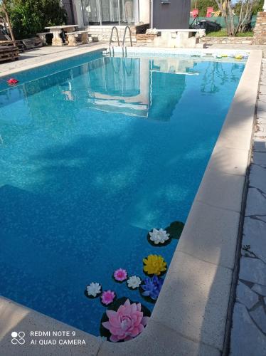 Πισίνα στο ή κοντά στο studio piscine en Haute Corse