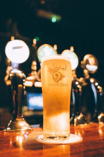 a glass of beer sitting on top of a table at Salty Dog Restaurant, Pub & Guesthouse in Ballycotton