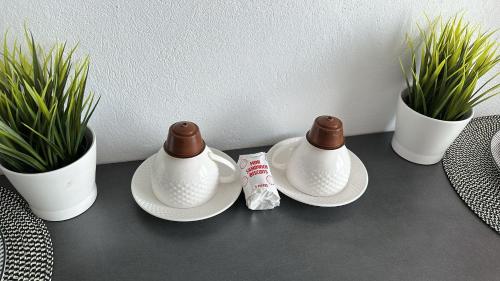 Una mesa con dos platos blancos y tres plantas en macetas. en Hidden Room, en Ciba