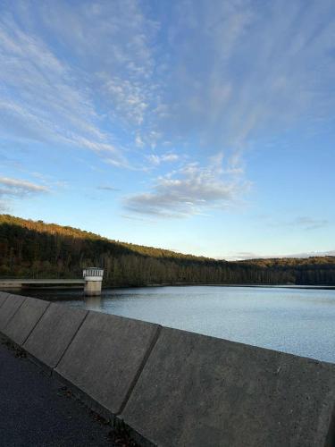 a view of a large lake with a dock at Le Rycochet in Couvin