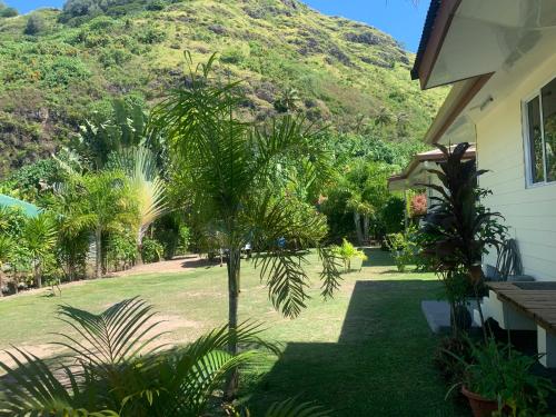 a palm tree in front of a house with a mountain at FARE TITAINA in Hauru