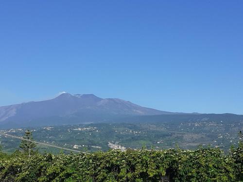a view of a vineyard with a mountain in the background at Acqua di Mare in Mascali