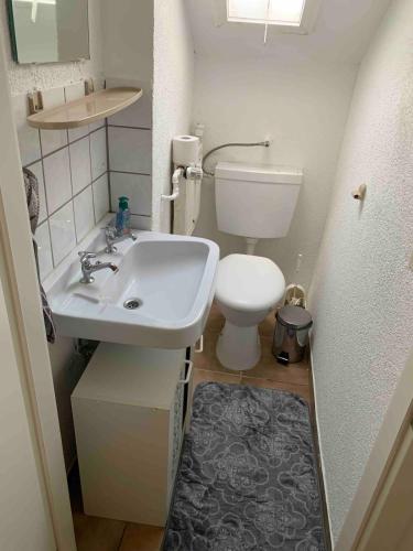 a small bathroom with a sink and a toilet at Ferienwohnung in Bad Rappenau in Bad Rappenau