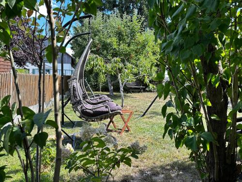 a swing sitting in a yard in a garden at Ferienwohnung Dahlen mit familienfreundlichem Garten in Dahlen