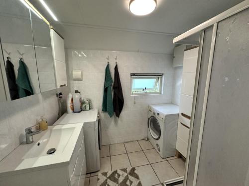 une salle de bain avec un lavabo et une machine à laver dans l'établissement Recreational cottage with lots of privacy, large forest garden!, à IJhorst