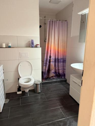 モースバッハにあるSonnenblick Kleiberwegのトイレと洗面台付きのバスルーム