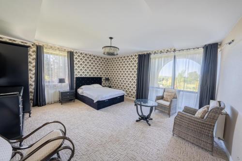 a bedroom with a bed and a tv and a couch at Rezydencja Mądrzechowo in Gersdorf
