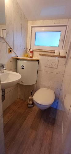 a small bathroom with a toilet and a sink at Domek pod Zielonym Dachem in Rytro