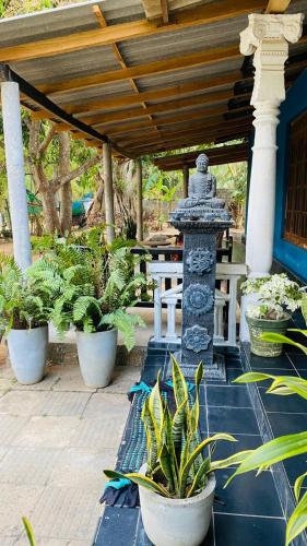 Zahrada ubytování Night Owl Hostel Sigiriya