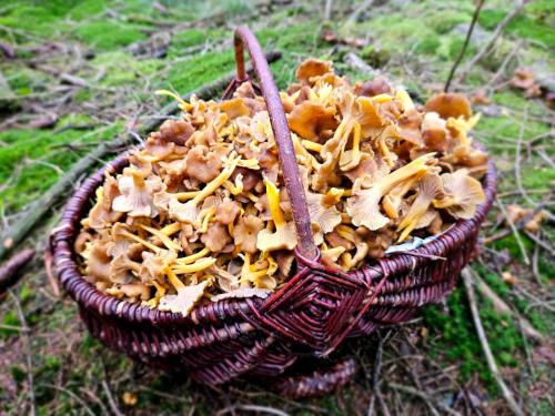 a basket of food with a fork in it at Marmouset in Theux