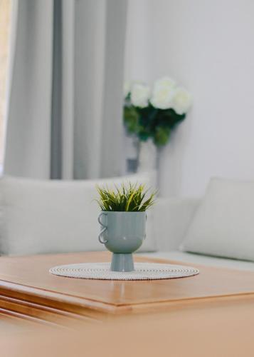 a plant in a vase sitting on a table at Boho Mood - 2 Bedrooms with Terrace & Pool in Sidi Bouqnadel