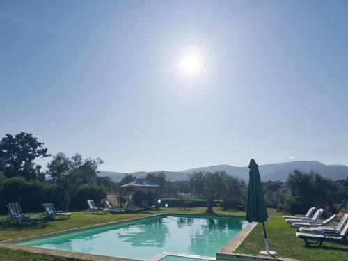 a pool with chairs and an umbrella and a lawn at Raízes da Vinha - Quartos & Chalé na Serra da Estrela in Carragozela