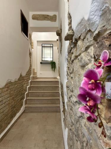 Φωτογραφία από το άλμπουμ του Amena House Apartments - Costa dei Trabocchi σε Ortona