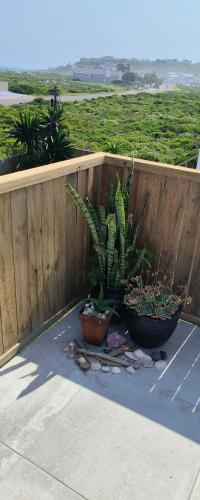 two potted plants sitting on a sidewalk next to a fence at Audrey Hepburn Suite Yzerfontein in Yzerfontein