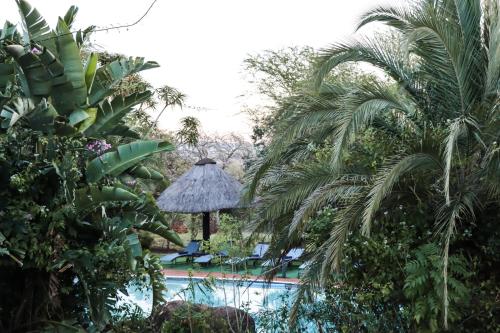 a resort with a swimming pool and palm trees at Ubizane Zululand Safari Lodge in Hluhluwe