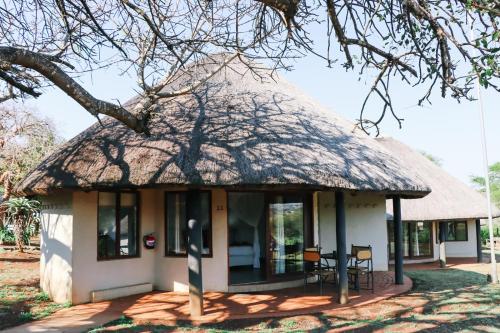 a house with a thatched roof with chairs in front at Ubizane Zululand Safari Lodge in Hluhluwe