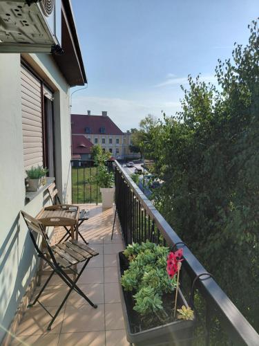 Balkoni atau teres di Apartman Dunav