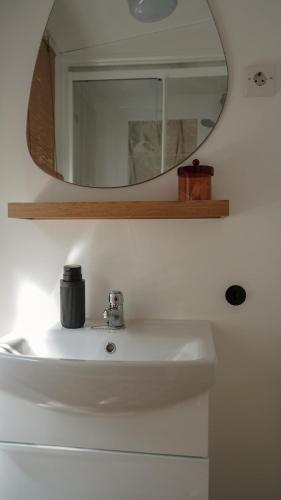 a bathroom sink with a mirror above it at Boshuisje met kachel "Huisje van Loof" op de Veluwe in Nunspeet
