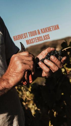 a pair of hands holding a bunch of blackberries at სასტუმრო ამელი/Hotel Ameli in Tʼelavi